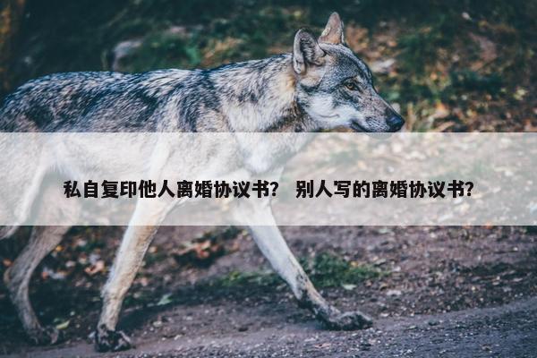 私自复印他人离婚协议书？ 别人写的离婚协议书？