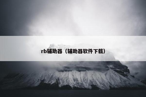 rb辅助器（辅助器软件下载）
