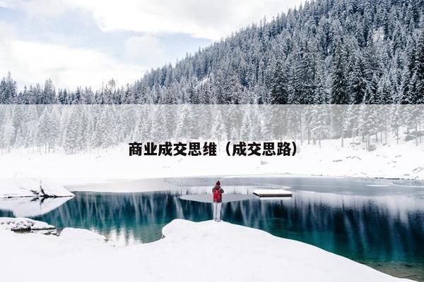 商业成交思维（成交思路）