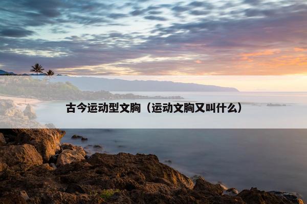 古今运动型文胸（运动文胸又叫什么）
