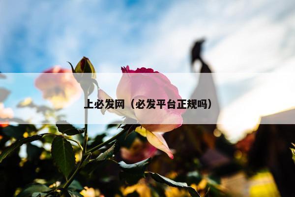 上必发网（必发平台正规吗）