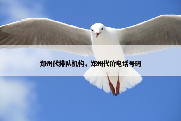 郑州代排队机构，郑州代价电话号码