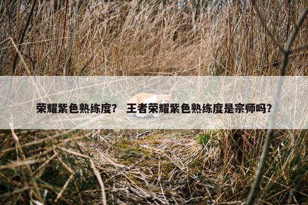 荣耀紫色熟练度？ 王者荣耀紫色熟练度是宗师吗？