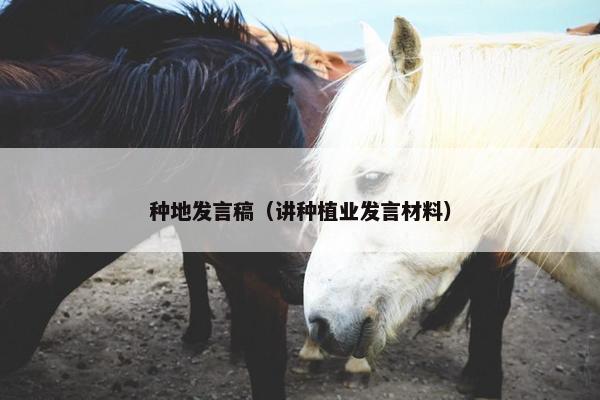 种地发言稿（讲种植业发言材料）