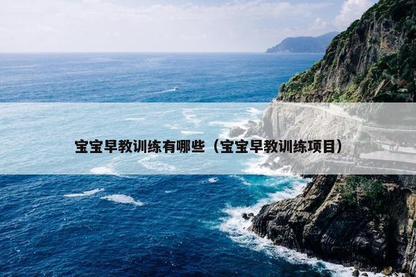 宝宝早教训练有哪些（宝宝早教训练项目）