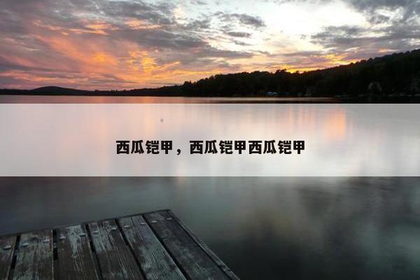 西瓜铠甲，西瓜铠甲西瓜铠甲