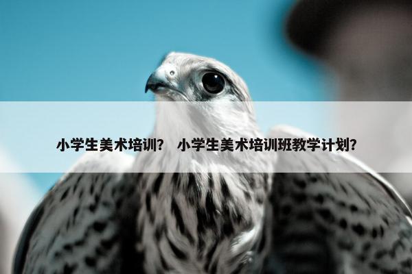 小学生美术培训？ 小学生美术培训班教学计划？