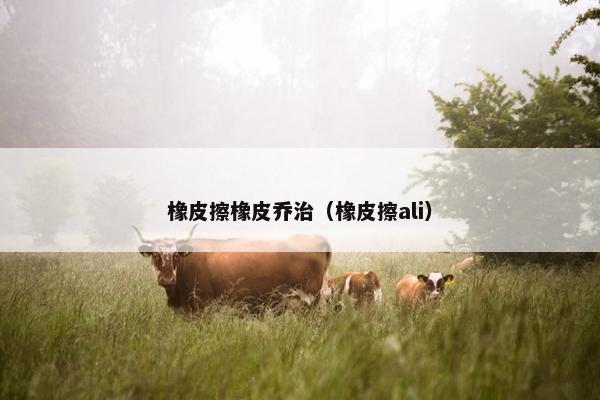 橡皮擦橡皮乔治（橡皮擦ali）