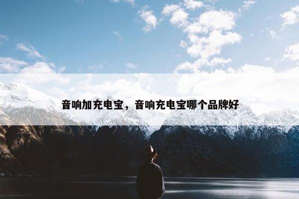 音响加充电宝，音响充电宝哪个品牌好