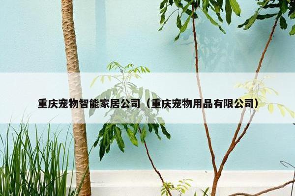 重庆宠物智能家居公司（重庆宠物用品有限公司）
