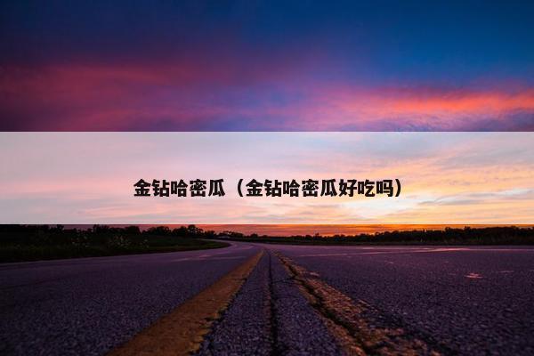 金钻哈密瓜（金钻哈密瓜好吃吗）