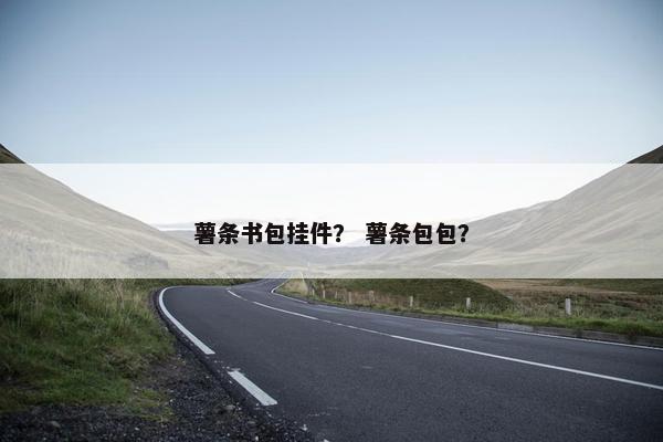 薯条书包挂件？ 薯条包包？