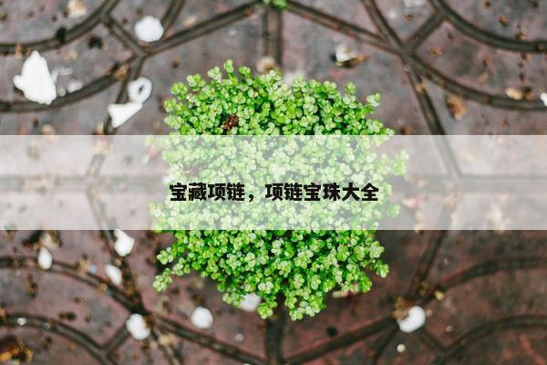 宝藏项链，项链宝珠大全