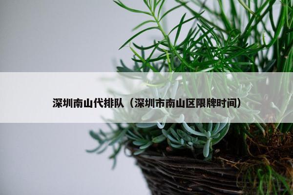 深圳南山代排队（深圳市南山区限牌时间）