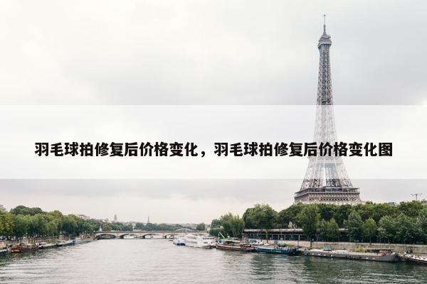 羽毛球拍修复后价格变化，羽毛球拍修复后价格变化图
