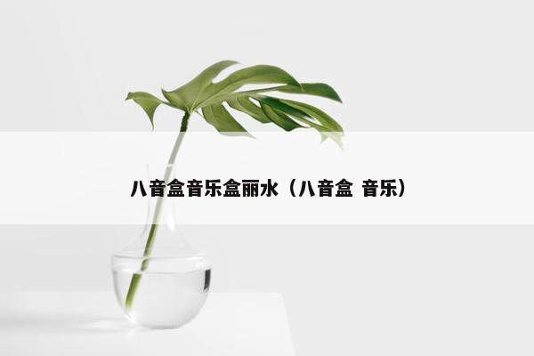 八音盒音乐盒丽水（八音盒 音乐）