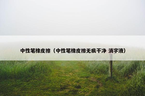 中性笔橡皮擦（中性笔橡皮擦无痕干净 消字液）