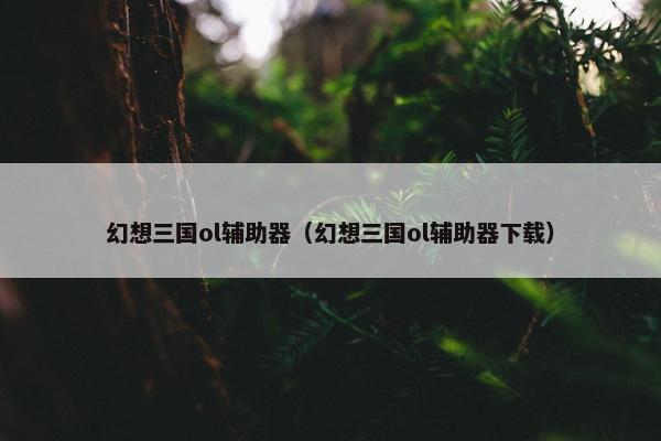 幻想三国ol辅助器（幻想三国ol辅助器下载）
