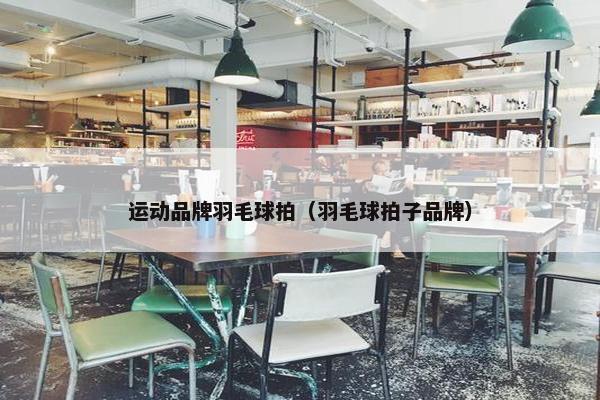 运动品牌羽毛球拍（羽毛球拍子品牌）