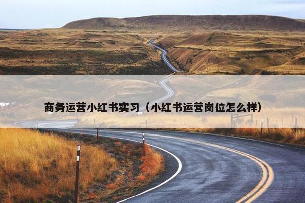 商务运营小红书实习（小红书运营岗位怎么样）