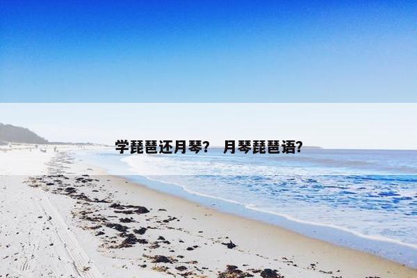 学琵琶还月琴？ 月琴琵琶语？