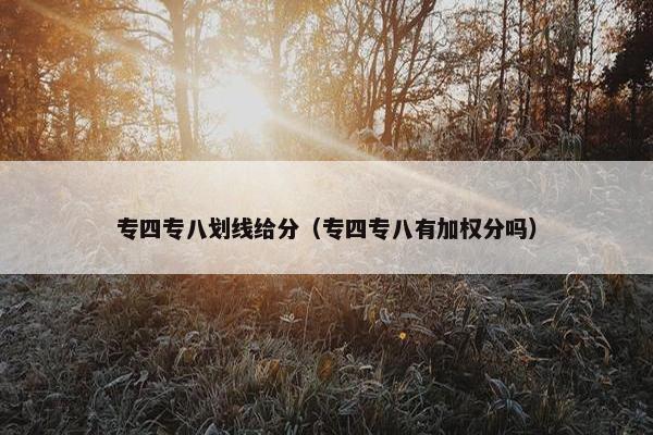 专四专八划线给分（专四专八有加权分吗）