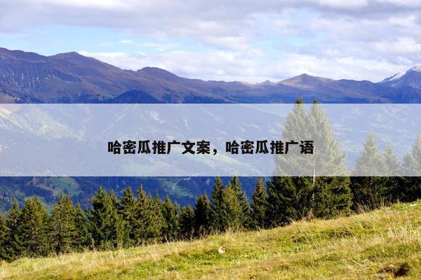 哈密瓜推广文案，哈密瓜推广语