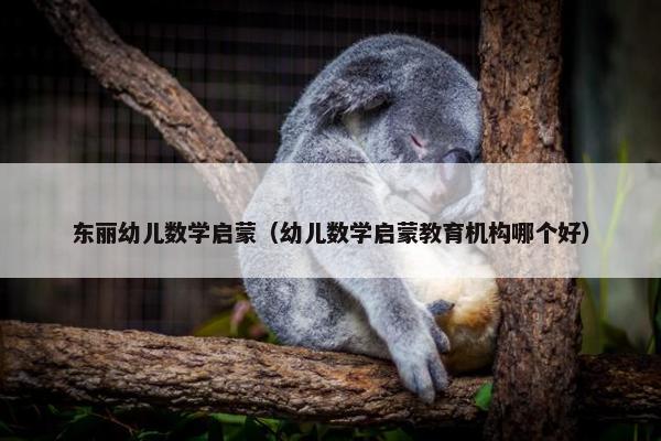 东丽幼儿数学启蒙（幼儿数学启蒙教育机构哪个好）