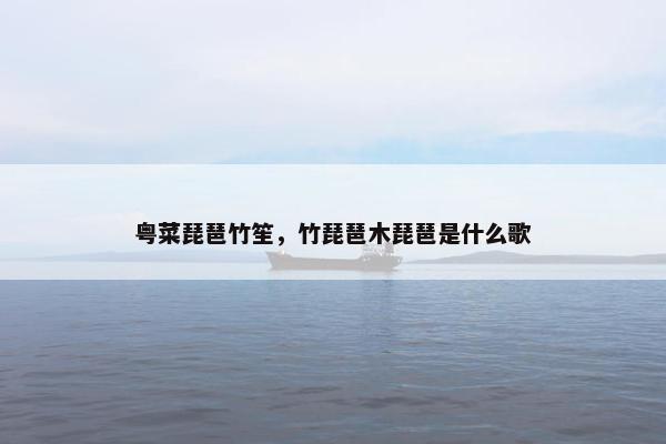 粤菜琵琶竹笙，竹琵琶木琵琶是什么歌