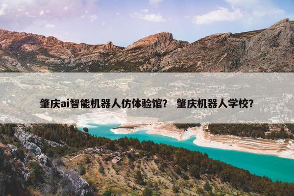 肇庆ai智能机器人仿体验馆？ 肇庆机器人学校？