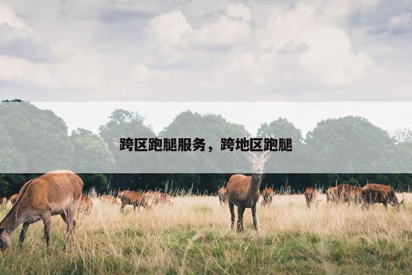 跨区跑腿服务，跨地区跑腿