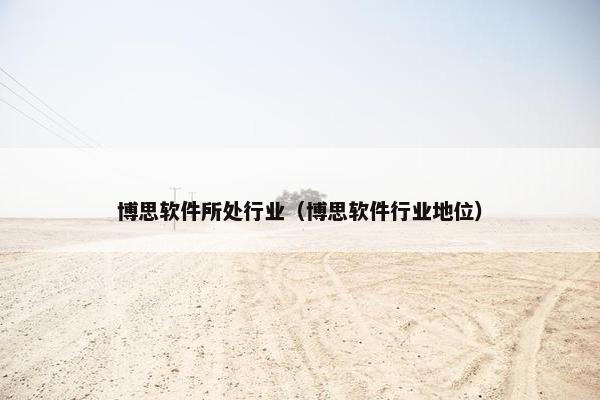博思软件所处行业（博思软件行业地位）