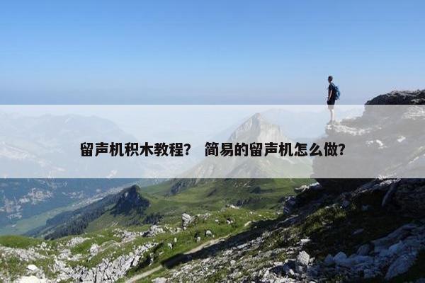 留声机积木教程？ 简易的留声机怎么做？