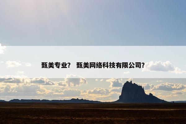 甄美专业？ 甄美网络科技有限公司？
