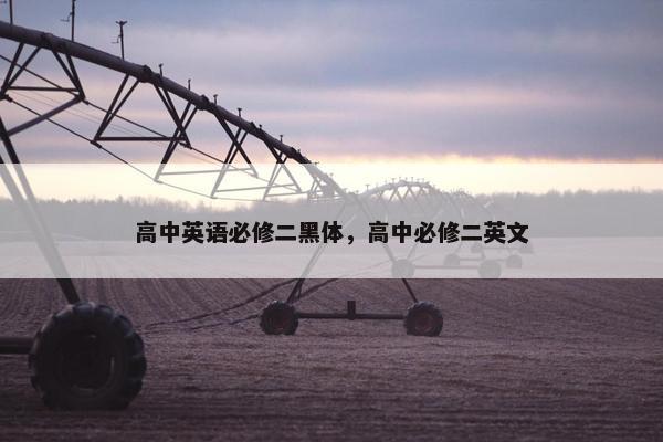 高中英语必修二黑体，高中必修二英文