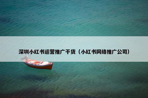 深圳小红书运营推广干货（小红书网络推广公司）