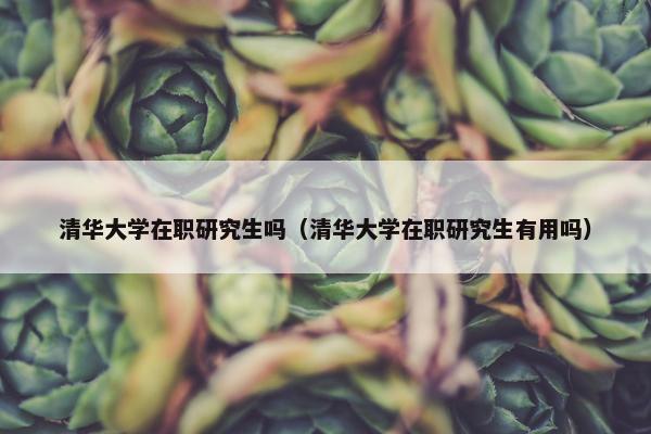 清华大学在职研究生吗（清华大学在职研究生有用吗）