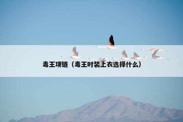 毒王项链（毒王时装上衣选择什么）