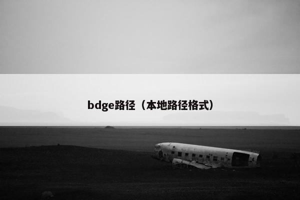 bdge路径（本地路径格式）