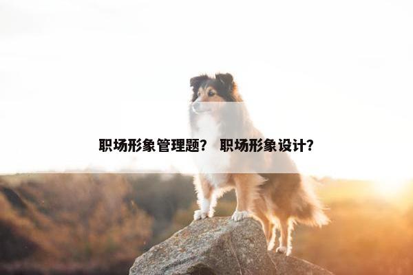 职场形象管理题？ 职场形象设计？