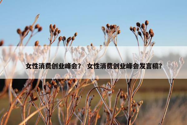 女性消费创业峰会？ 女性消费创业峰会发言稿？