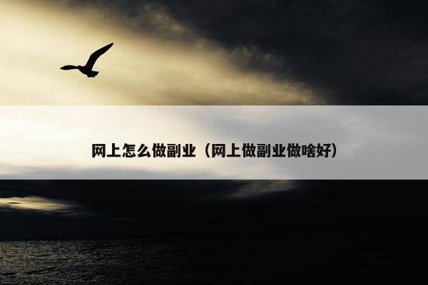 网上怎么做副业（网上做副业做啥好）