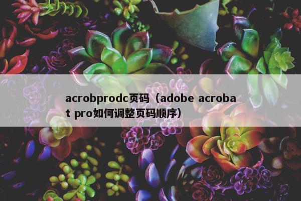 acrobprodc页码（adobe acrobat pro如何调整页码顺序）
