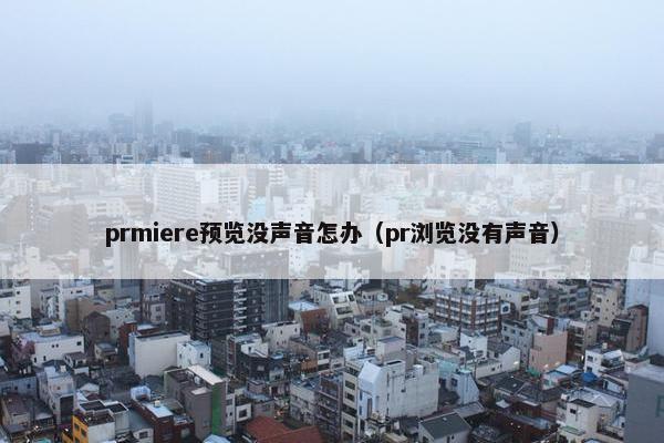prmiere预览没声音怎办（pr浏览没有声音）