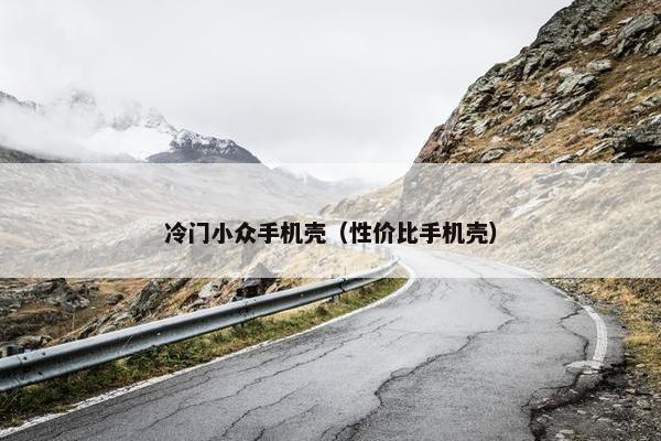 冷门小众手机壳（性价比手机壳）