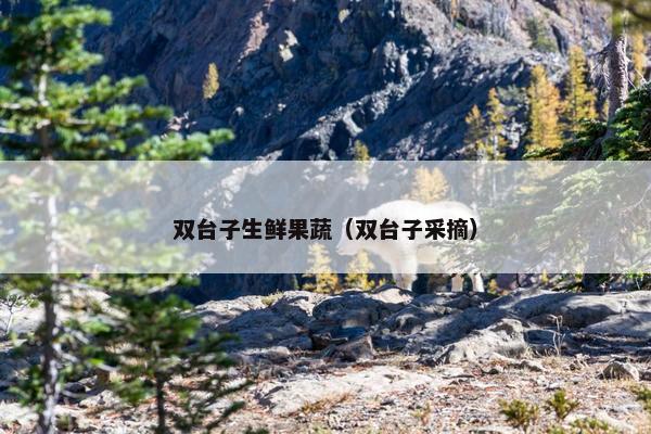 双台子生鲜果蔬（双台子采摘）