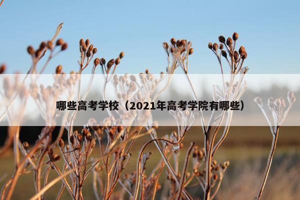 哪些高考学校（2021年高考学院有哪些）