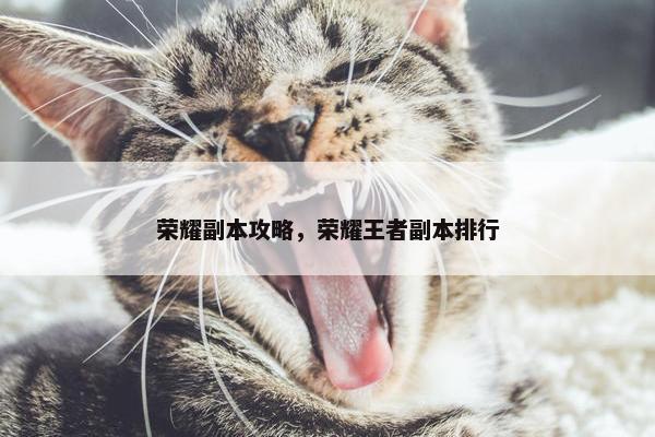 荣耀副本攻略，荣耀王者副本排行