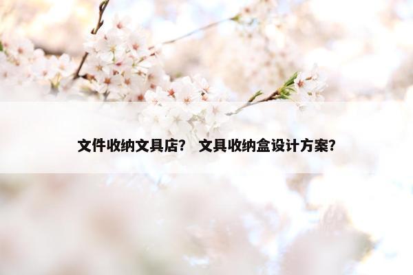 文件收纳文具店？ 文具收纳盒设计方案？