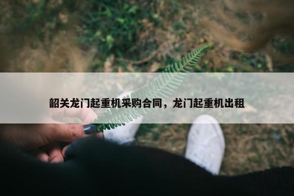 韶关龙门起重机采购合同，龙门起重机出租